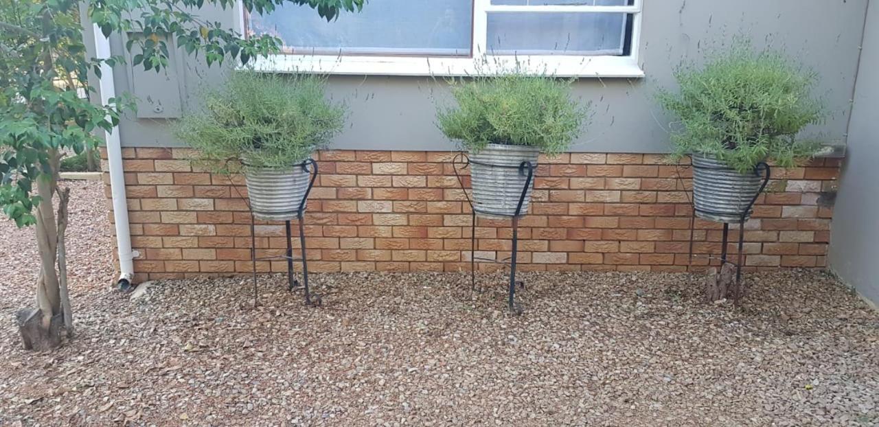 Mulberry Place Cradock Bagian luar foto